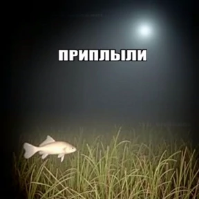 liookkl №57