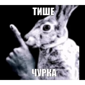 Е6аный насрал №28