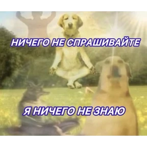 Львята №21