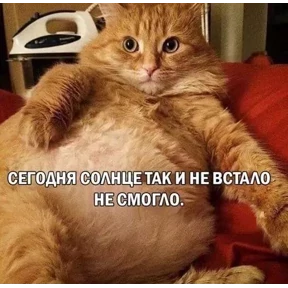 Пупу №6