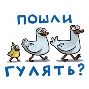 Домашний №16