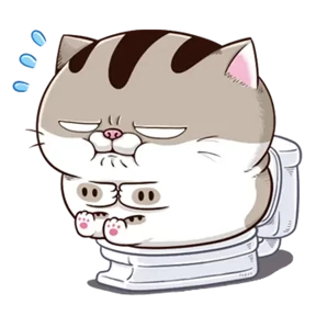 Ami fat cat №1