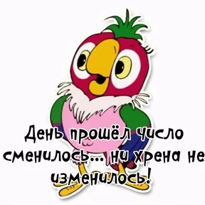 Ку №6