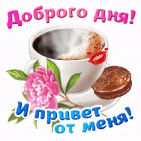 Ку №16