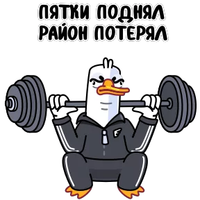 Гусь №17