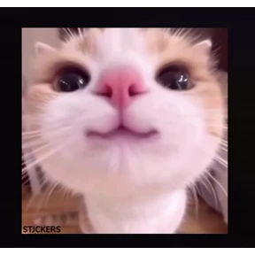 Наши стикеры №2