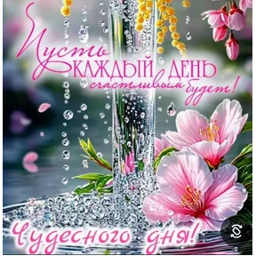 Досик №4