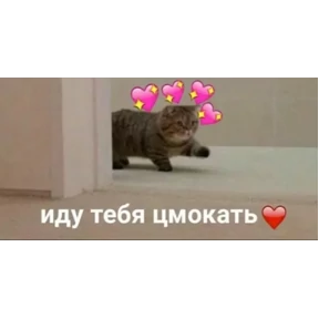 Мими Кити №10