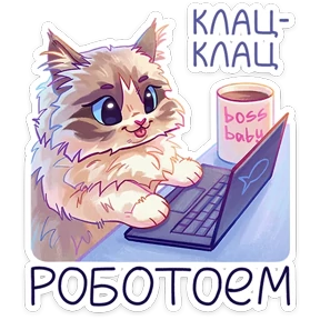 Стелла №19