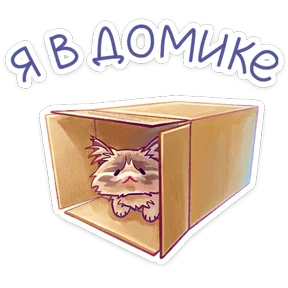 Стелла №43