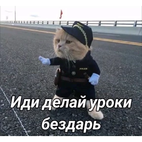 Кошаки №38