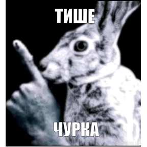Свага №11