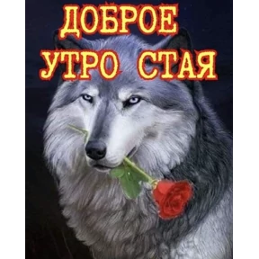 Свага №13