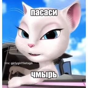 Свага №22