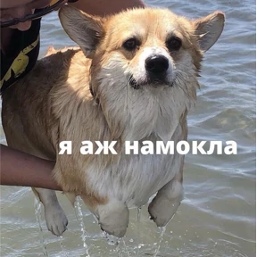 База 126 №26
