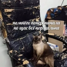 База 126 №95