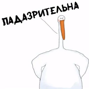 ГусИгорь №33
