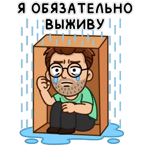 Разработчик №31