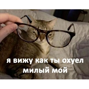 Мои №6