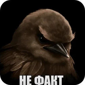 Вряд-ли №9