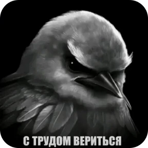 Вряд-ли №43