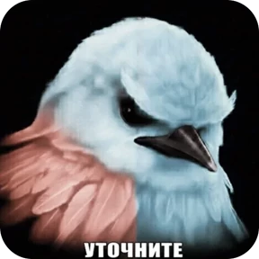 Вряд-ли №62