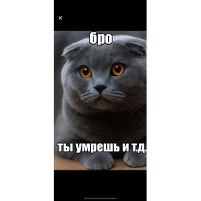 Редит №6