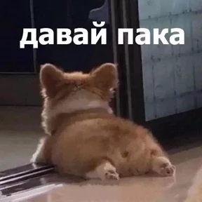 На случай важных переговоров №2