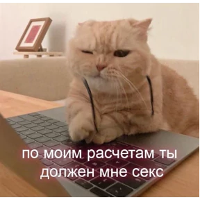 На случай важных переговоров №20