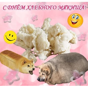 День дня №1