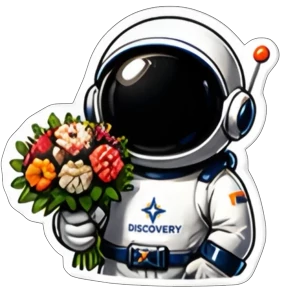 ДИСКАВЕРИ ЛОГИСТИКА №25