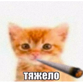 Эдуарду №16