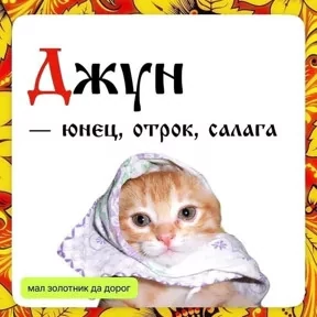 Старорусский ИТ №8