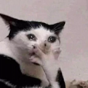 Нуя №25