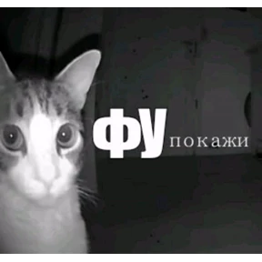 резедулькины переговоры №21