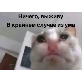 резедулькины переговоры №43