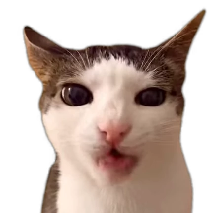 animals №13