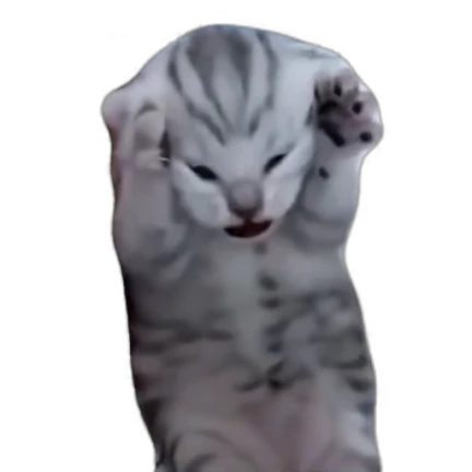 animals №5