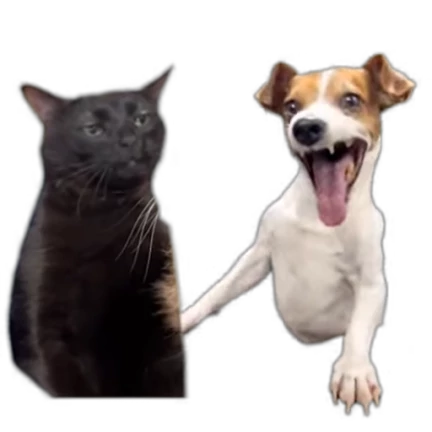 animals №17