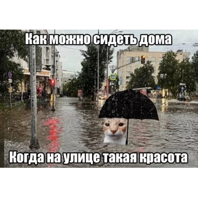 Ля кошь №4