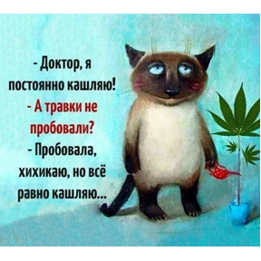 Ля кошь №17