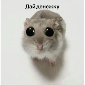 Моё №13