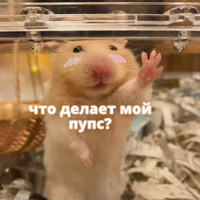 Стики1 №4