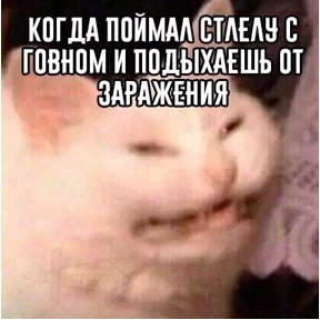 Набор 1 №8