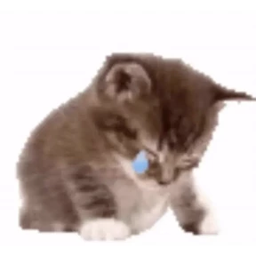 Пу пу пу №3