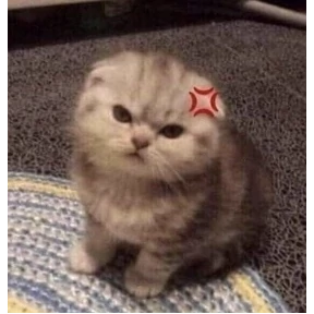Пу пу пу №1