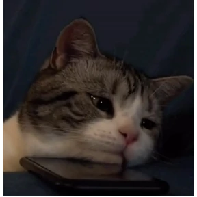 Пу пу пу №6