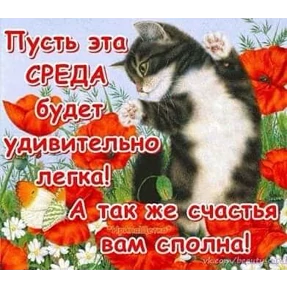 Пожелания хорошего дня №3