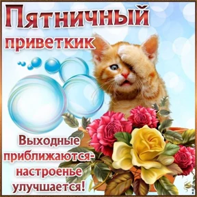 Пожелания хорошего дня №4