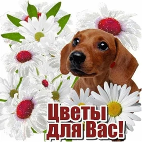 Пожелания хорошего дня №12
